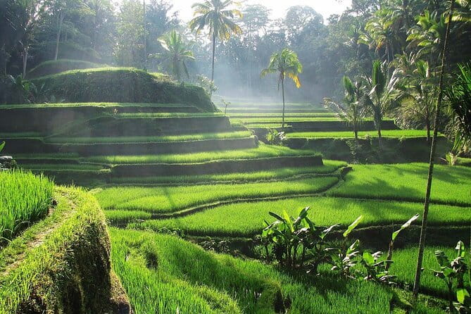 Bali Waterfall in One Day Tours, Hidden Waterfall - All Inclusive - Comfort Tips for a 6–8 Hour Waterfall Day