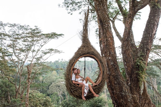 Bali Waterfalls Adventure and Wanagiri Hidden Hill - Pickup, private transport, and pacing: how the timing really feels