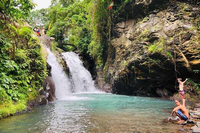 Bali Waterfalls Adventure and Wanagiri Hidden Hill - Who should book this tour (and who should skip it)