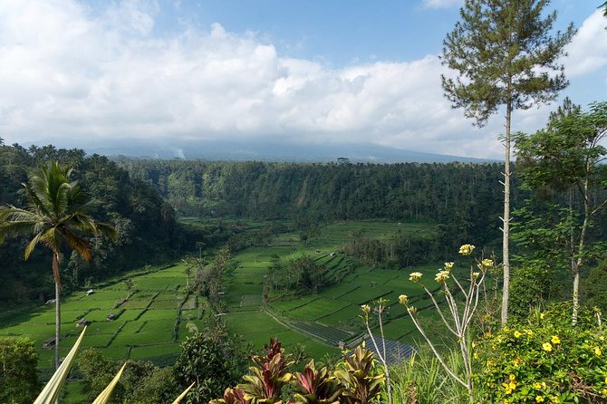 Bali Waterfalls and Temples Tour - What to pack and how to stay comfortable for 10 hours