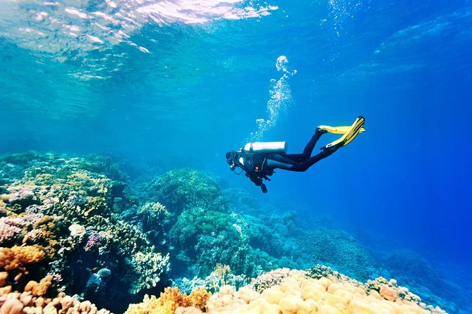 Bali Watersport Activities - Great Discount Package - Weather, Timing, and the Driver Factor (Darma Gets Noticed)