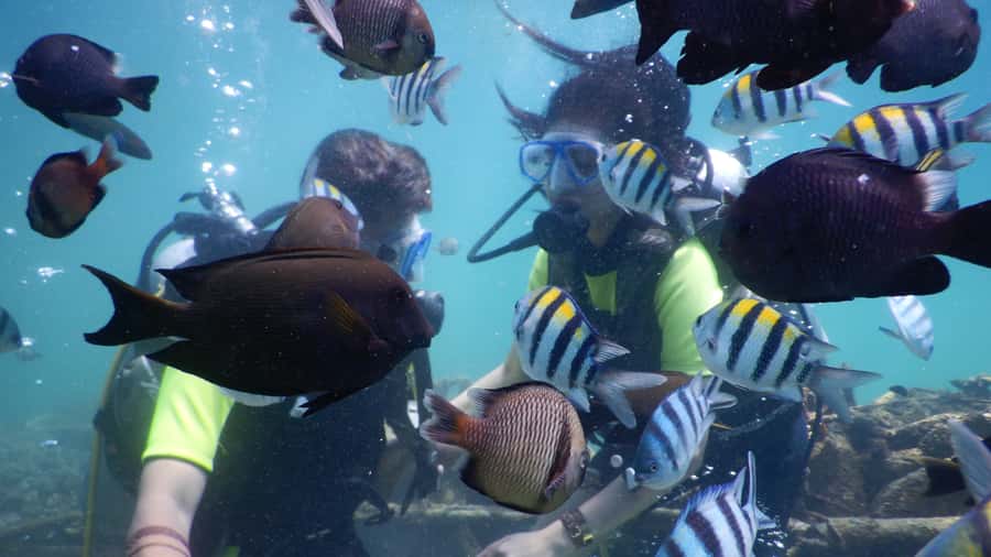 Bali: Watersport Scuba Diving Jetski Dunut Boat Exclusive - Key things to know before you go