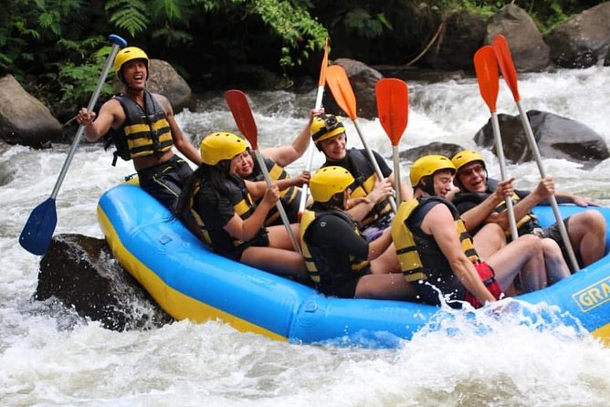 Bali White-Water Rafting Adventure - Coffee Plantation Stop and the Coffee Luwak Story