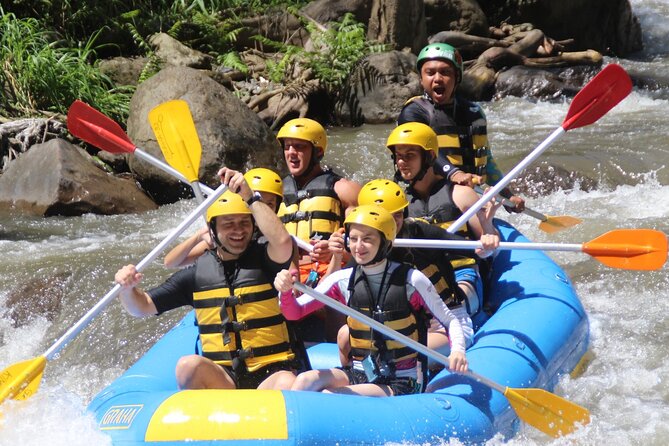Bali White Water Rafting Adventure at Ayung River Bali - Key highlights at a glance