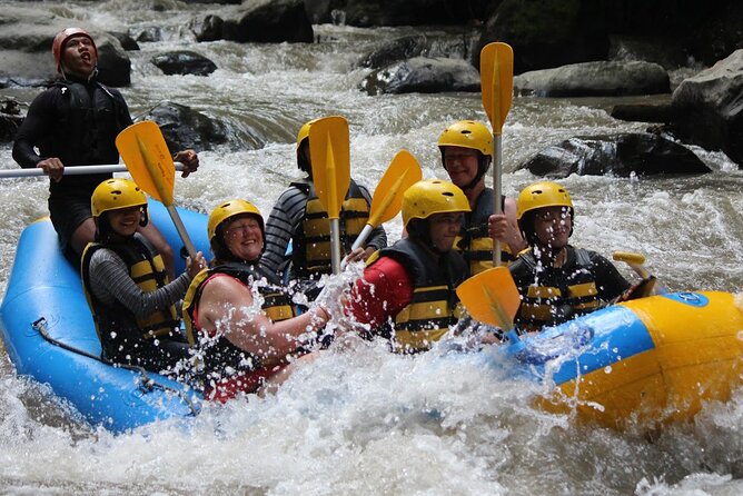 Bali White Water Rafting Adventure at Ayung River Bali - Ayung River rafting from Ubud: what makes this 14 km run special