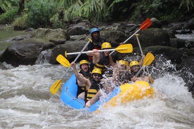 Bali White Water Rafting Adventure at Ayung River Bali - What you see along the way: rice fields, rainforest, waterfall, and carvings