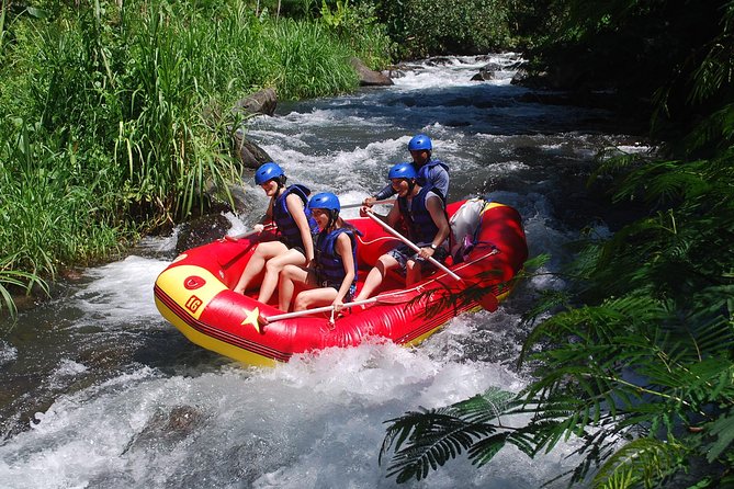 Bali White Water Rafting at Telaga Waja River - Lunch by the river: Balinese buffet with time to reset