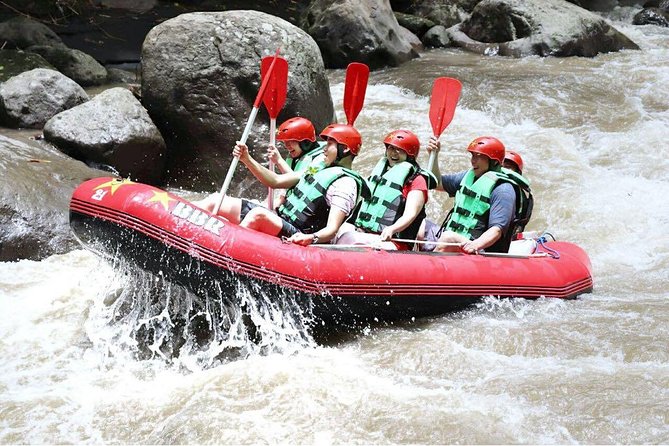 Bali White Water Rafting - Infinity - Timing, departure times, and group size up to 99