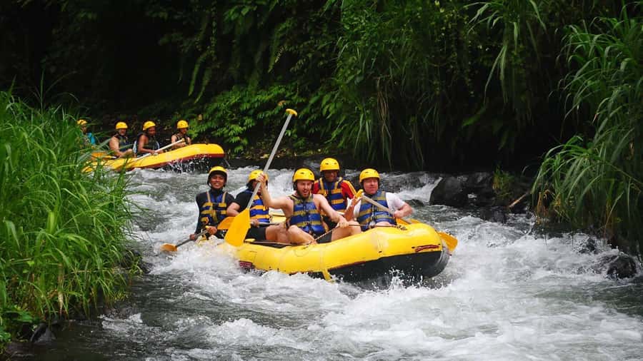 Bali: White Water Rafting, Lunch and Private Pickup - Key Highlights Worth Your Time