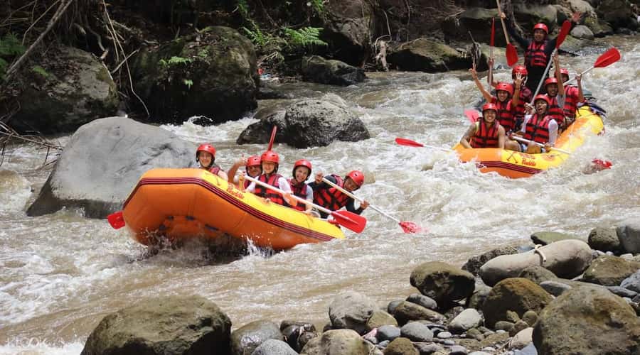 Bali: White Water Rafting, Lunch and Private Pickup - Before You Hit the Water: Safety Briefing and Gear That Actually Helps