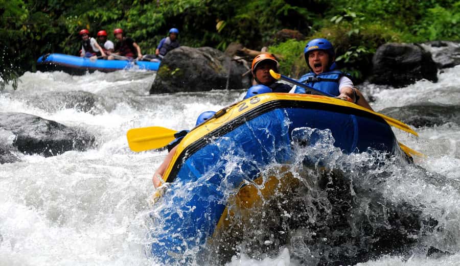 Bali: White Water Rafting, Lunch and Private Pickup - Who This Bali Rafting Trip Fits Best