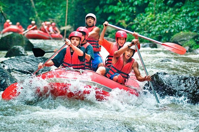 Bali White Water Rafting on Ayung River with Lunch - Price and what you’re really getting