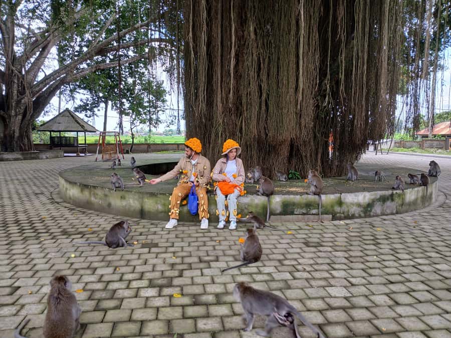 Bali: YouTuber TOUR - Safety reality: what makes this feel controlled