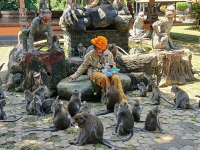 Bali: YouTuber TOUR - The 6-hour plan: hotel pickup to fruit-and-monkey time