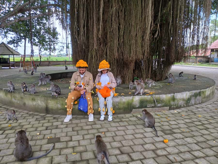 Bali: YouTuber TOUR - Meet Adi (and why the guide changes everything)