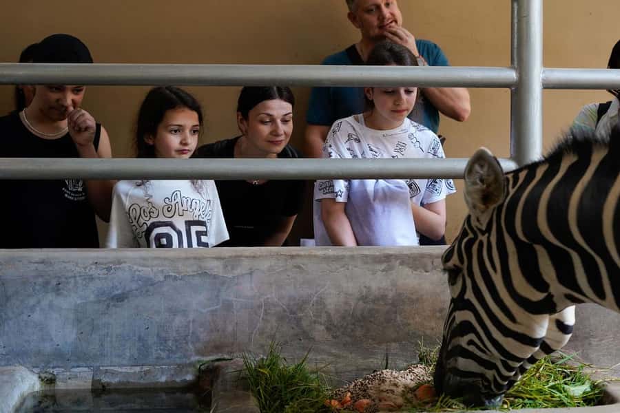 Bali Zoo: Behind Closed Doors Afternoon Safari Guided Tour - Price and value: why $52 can feel fair (or not)