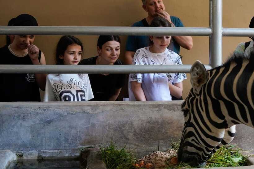 Bali Zoo: Behind Closed Doors Afternoon Safari Guided Tour - Photo expectations: close-up time vs. “pose” energy