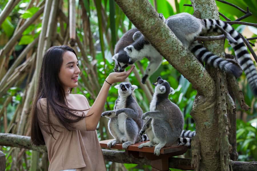 Bali Zoo Entrance Ticket - Walking the Grounds: How the Zoo Layout Shapes Your Day