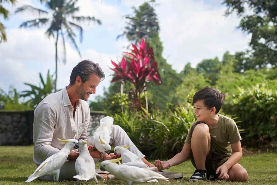 Bali Zoo: Guided Breakfast With Observing Orangutans - The Orangutan Encounter: Guided, Safe, and (Mostly) About Watching