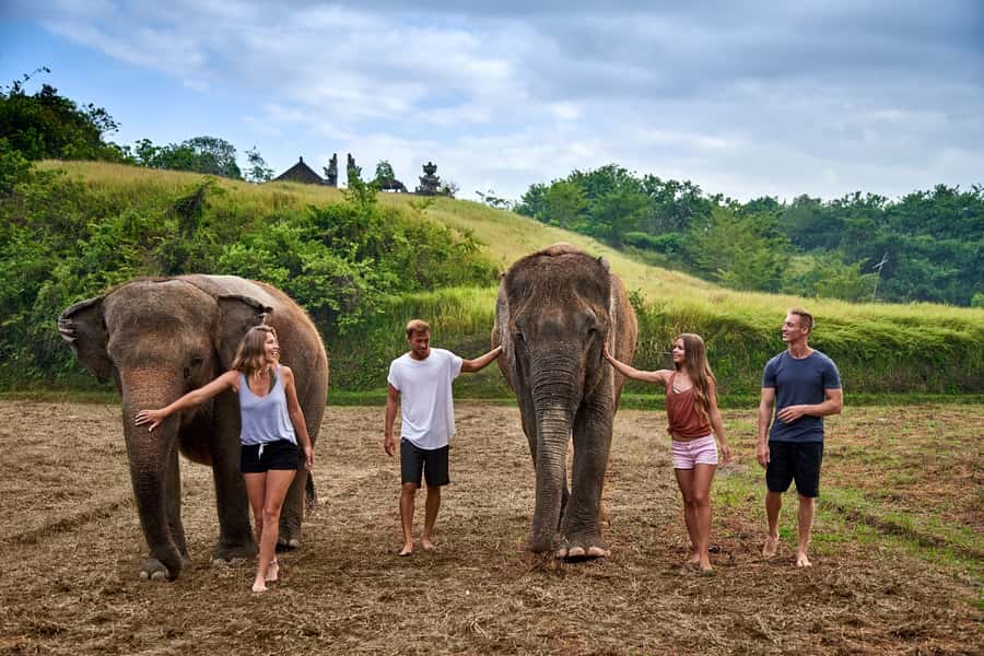 Bali Zoo: Guided Ethical Elephant Care Experience - Key things that make this elephant experience special