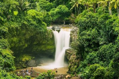 Balinase Cooking Class and Private Ubud Day Tour - Sacred Monkey Forest Sanctuary: Wildlife, but Also Rules