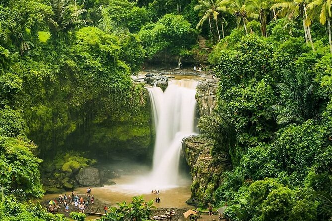 Balinase Cooking Class and Private Ubud Day Tour - Sacred Monkey Forest Sanctuary: Wildlife, but Also Rules