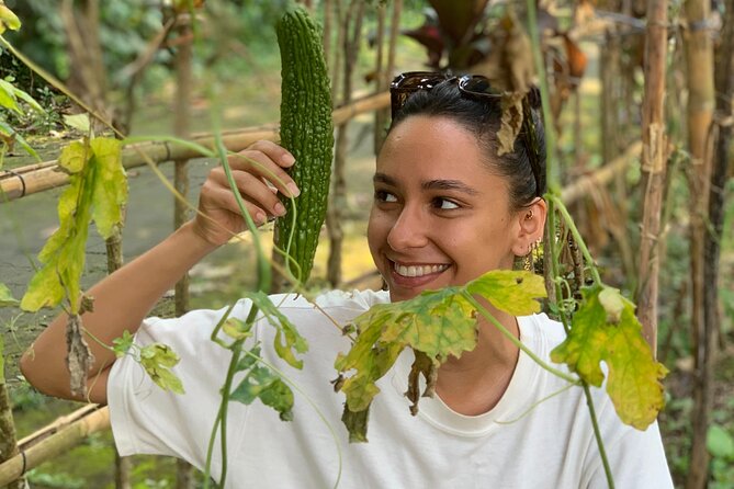 Balinese Authentic Cooking Class in Ubud - The Setting in West Ubud: Countryside Calm with Air-Conditioned Transport