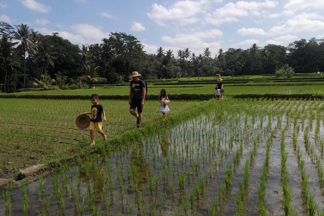 Balinese Cooking Class at Organic Farm - A Balinese cooking class that starts on the land, not in a kitchen