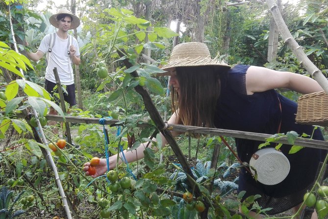 Balinese Cooking Class at Organic Farm - Mai Organic Farm and the community mission behind your lunch
