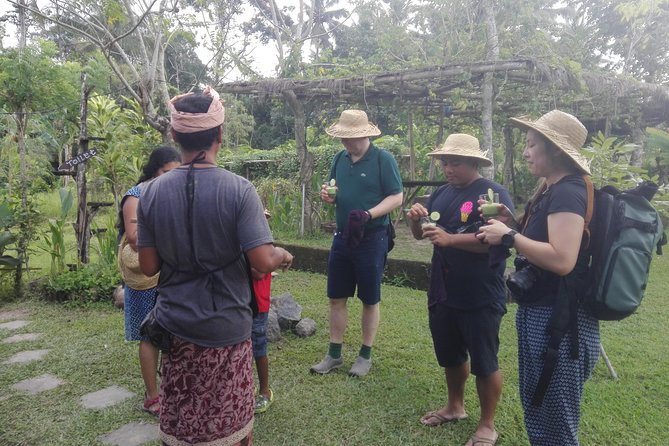 Balinese Cooking Class at Organic Farm - Price and logistics: where the money goes (and what you get back)