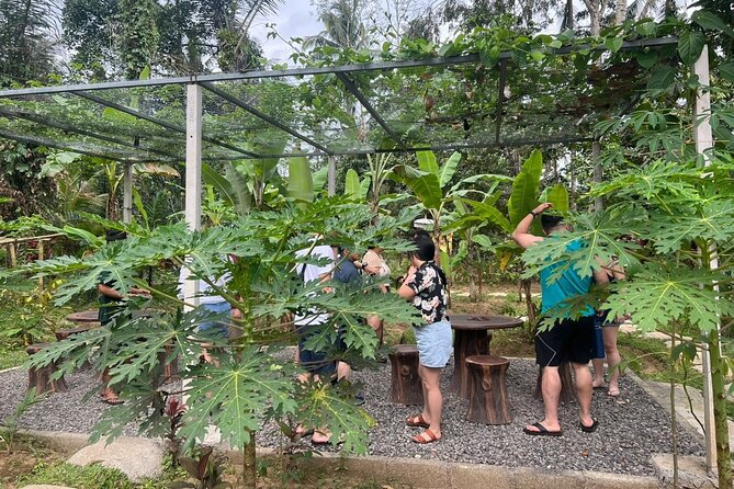 Balinese Cooking Class with Traditional Market Tour - Price and Value: What You’re Getting for $58.16