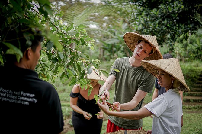 Balinese Farm Cooking Class by Pemulan Bali - A Ubud cooking class that starts before the kitchen
