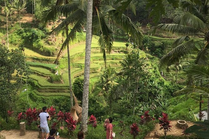 Balinese Life Style Tour - What the day feels like: pace, comfort, and preparation
