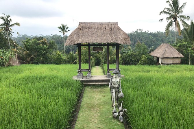 Balinese Life Style Tour - Guide quality is the real difference (and Arjana is a name to remember)