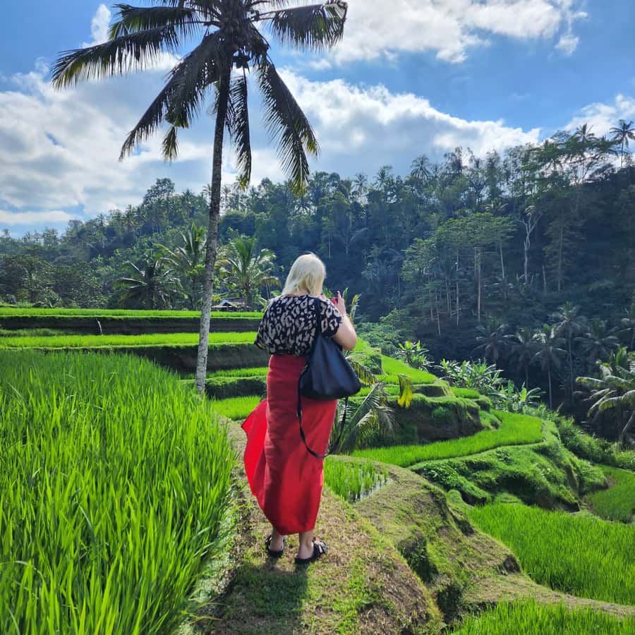 Balinese Purification at holy water temple with Local - At the holy water temple: what happens when you arrive