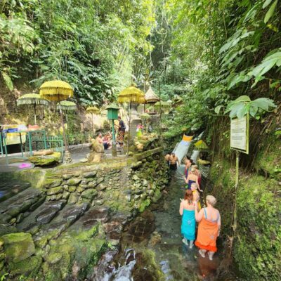 Balinese Purification at holy water temple with Local - The morning flow from Ubud pickup to the jungle stairs