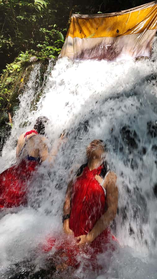Balinese Purification at holy water temple with Local - Optional local healer session: energy reading and young coconut aura cleansing