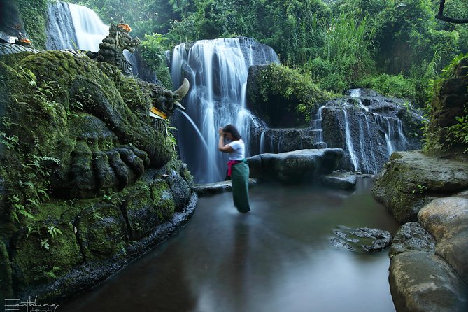 Balinese Village Experience - Lunch at a Scenic Warung: Local Food Without the Guesswork