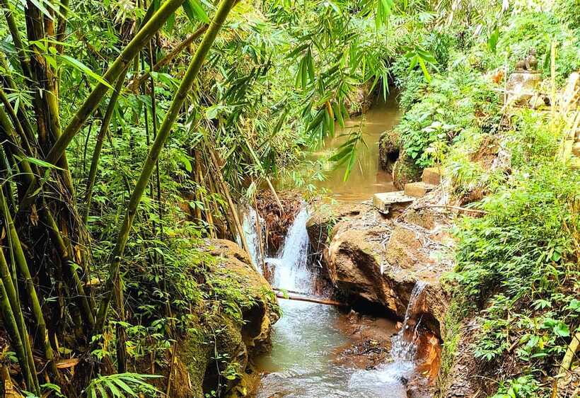 Bali’s Mystical Jungle Trek & Hidden Waterfall Adventure - Pengempu Waterfall: The Calm, Picture-Perfect Ending