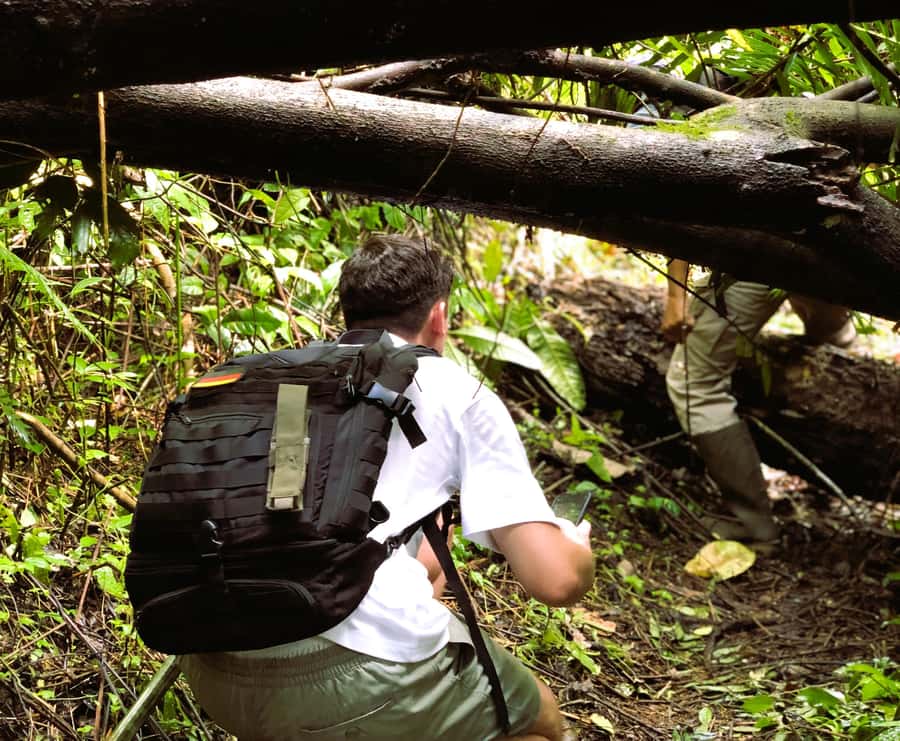 Bali’s Mystical Jungle Trek & Hidden Waterfall Adventure - The Trek Itself: Ranger-Led, Unprepared Paths, and Real Conditions