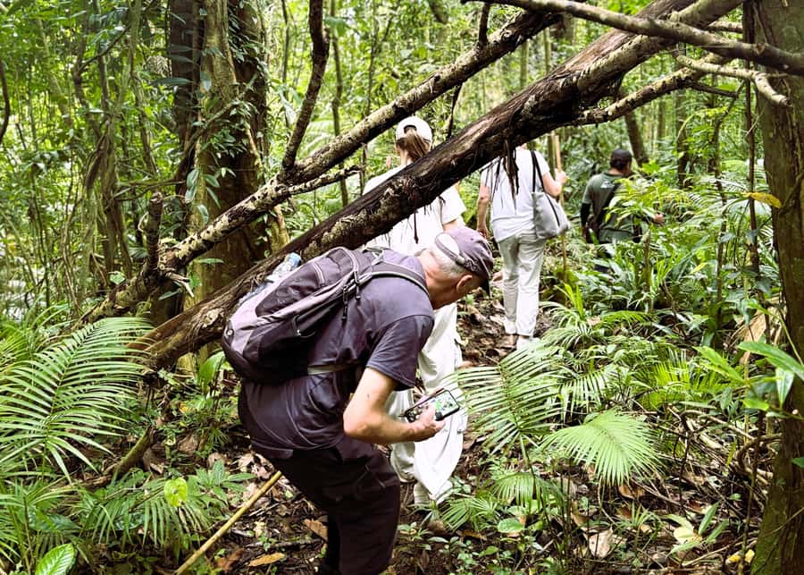Bali’s Mystical Jungle Trek & Hidden Waterfall Adventure - Warm-Up Stops: Snacks, Local Views, and Quick Photo Moments