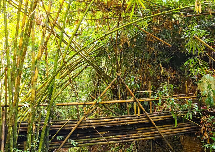 Bali’s Mystical Jungle Trek & Hidden Waterfall Adventure - Beji Temple and Sacred Spring Water: The Spiritual Pause