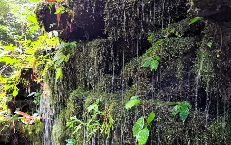 Bali’s Mystical Jungle Trek & Hidden Waterfall Adventure - River Time: The Cool Jungle Dip and How to Stay Comfortable
