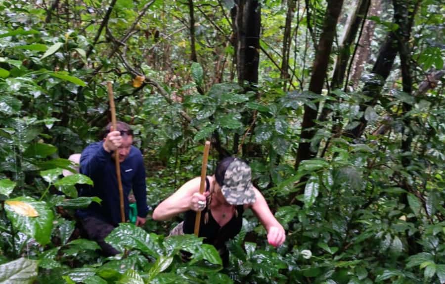 Bali’s Mystical Jungle Trek & Hidden Waterfall Adventure - Balikaru Farm with Trigona Honey Bees: Sustainability You Can Actually See