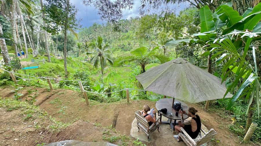 Bali:Traditional Wedding Photoshoot with the Rice Field View - Price and value: what $61 per person buys you