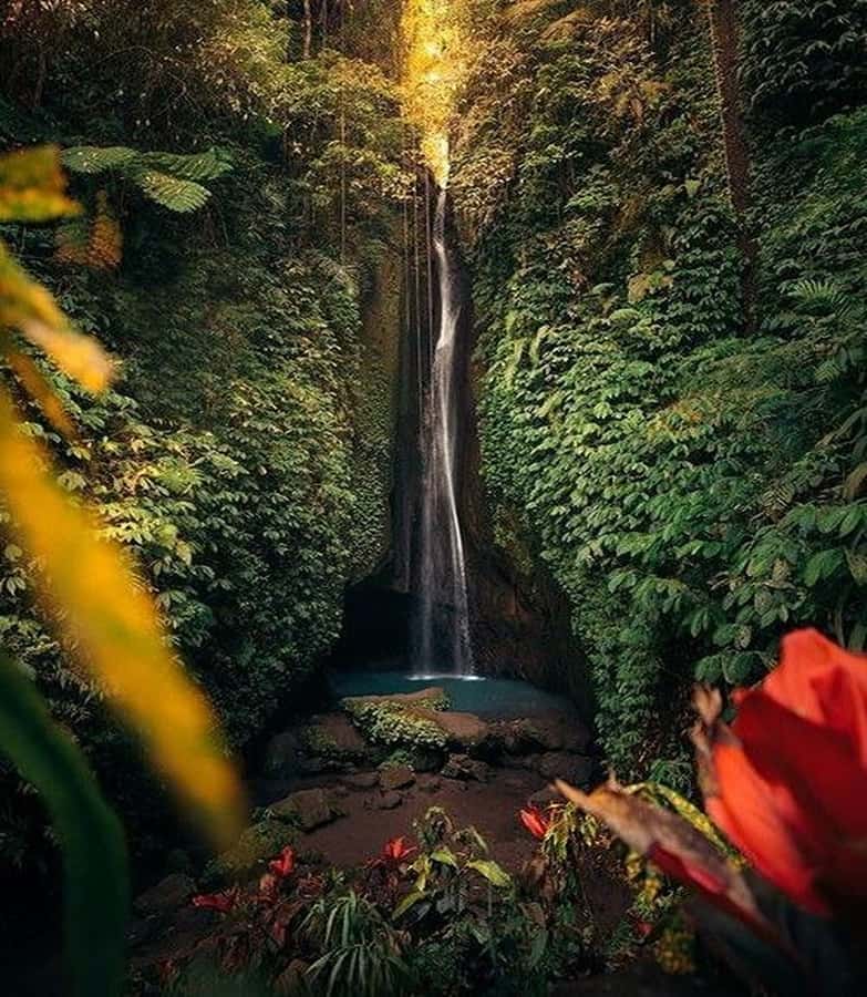 Bali:Ulun Danu, Waterfalls, Handara Gate, Cofee Planta Tour - Key things that make this tour worth your time