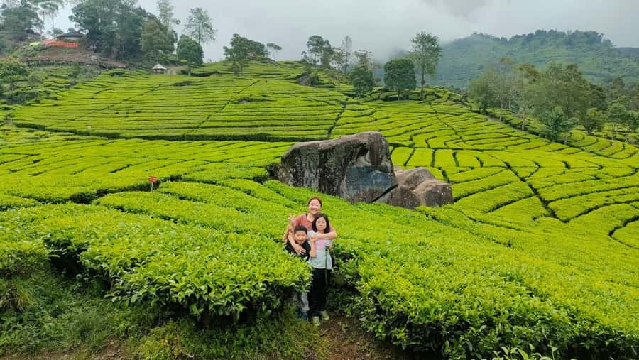 Bandung Kawah Putih Day Tours - Patenggang Lake: a quieter finish with tea-hill views