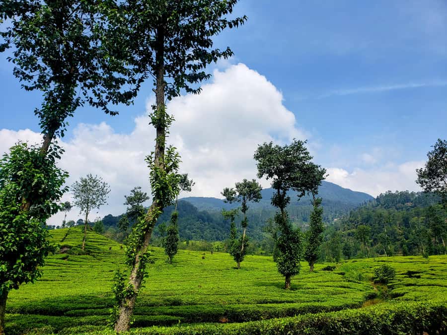 Bandung Kawah Putih Day Tours - Getting ready: what to pack and what to expect at each stop