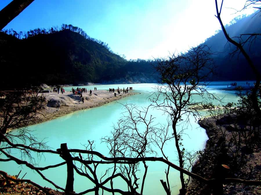 BANDUNG : MAKE CUSTOMIZED TOUR WITH CAR CHARTER AND DRIVER - Typical Stops on the North Route: White Crater, Tea, and Bridges