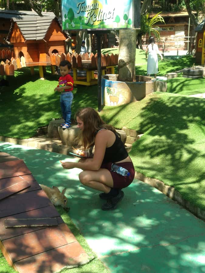 Bandung : Private Tour Guide Sightseeing (Costum tour) - Hot springs: the part you’ll remember long after photos